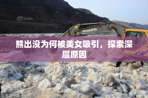 熊出没为何被美女吸引，探索深层原因