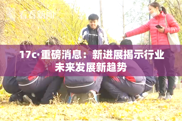 17c·重磅消息：新进展揭示行业未来发展新趋势