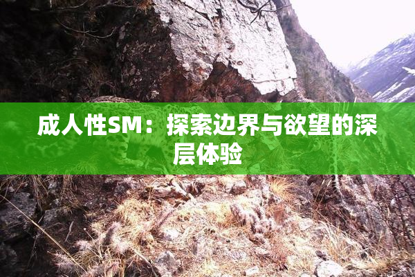 成人性SM：探索边界与欲望的深层体验