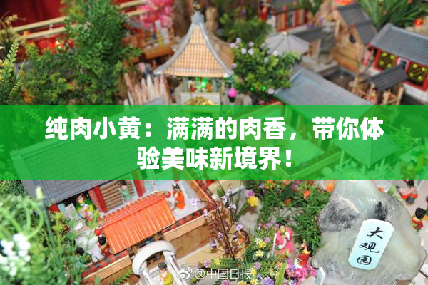纯肉小黄：满满的肉香，带你体验美味新境界！
