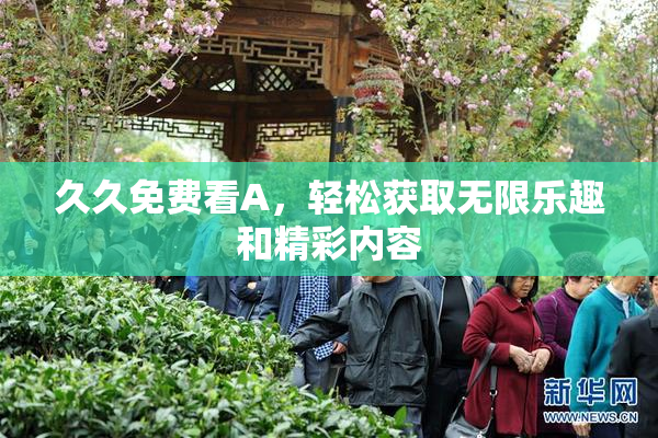 久久免费看A，轻松获取无限乐趣和精彩内容