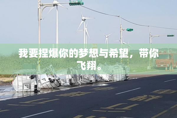 我要捏爆你的梦想与希望，带你飞翔。