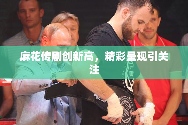 麻花传剧创新高，精彩呈现引关注