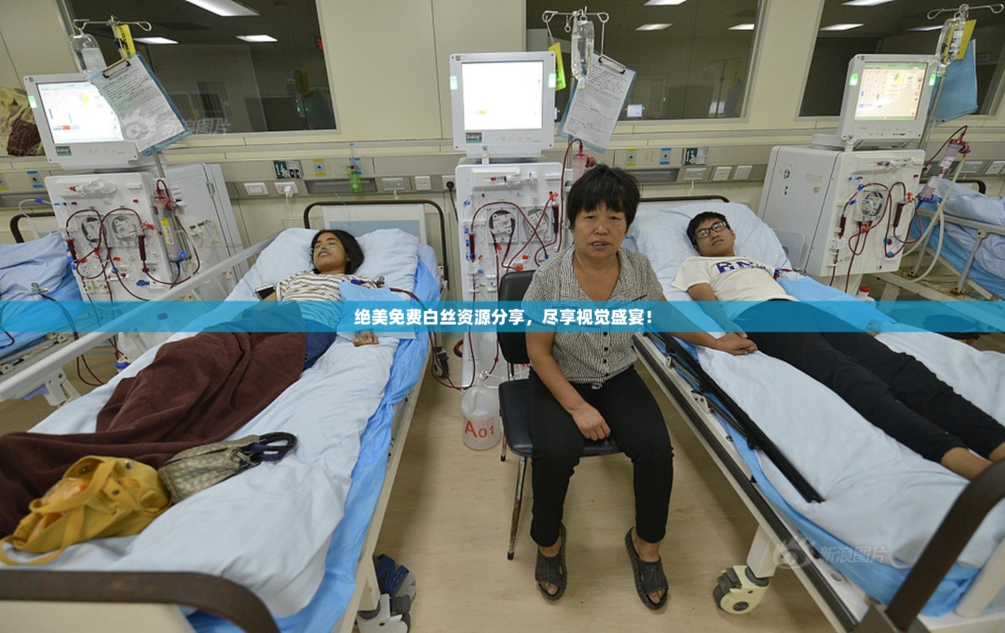 绝美免费白丝资源分享，尽享视觉盛宴！