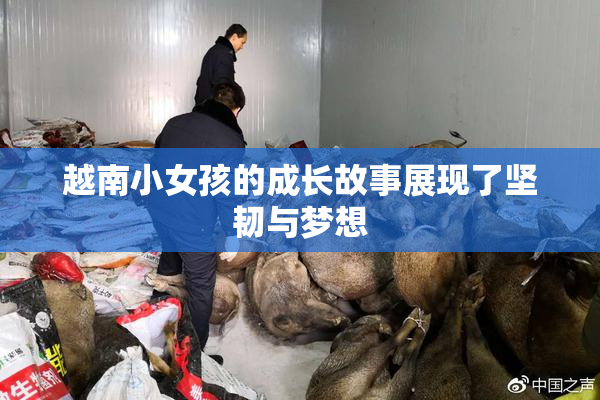 越南小女孩的成长故事展现了坚韧与梦想