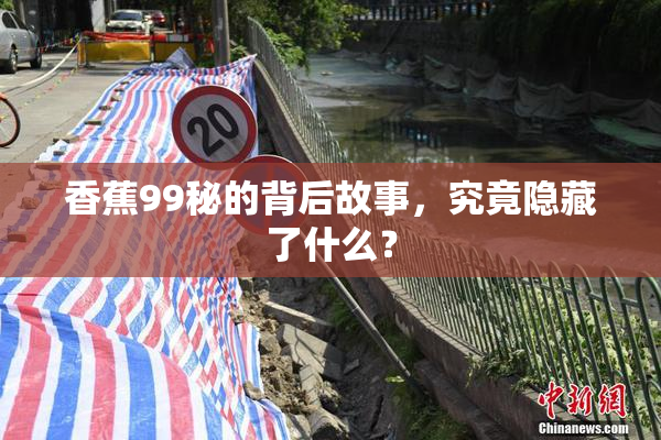 香蕉99秘的背后故事，究竟隐藏了什么？