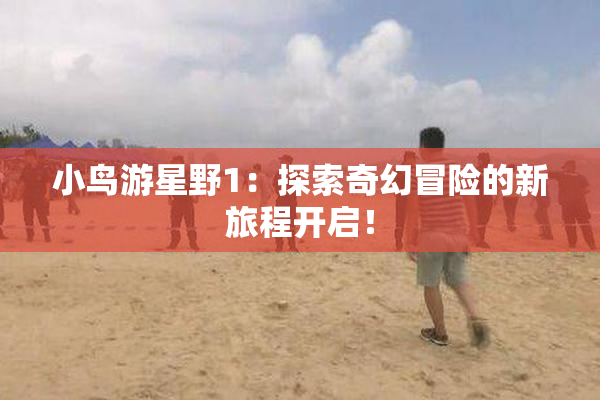 小鸟游星野1：探索奇幻冒险的新旅程开启！