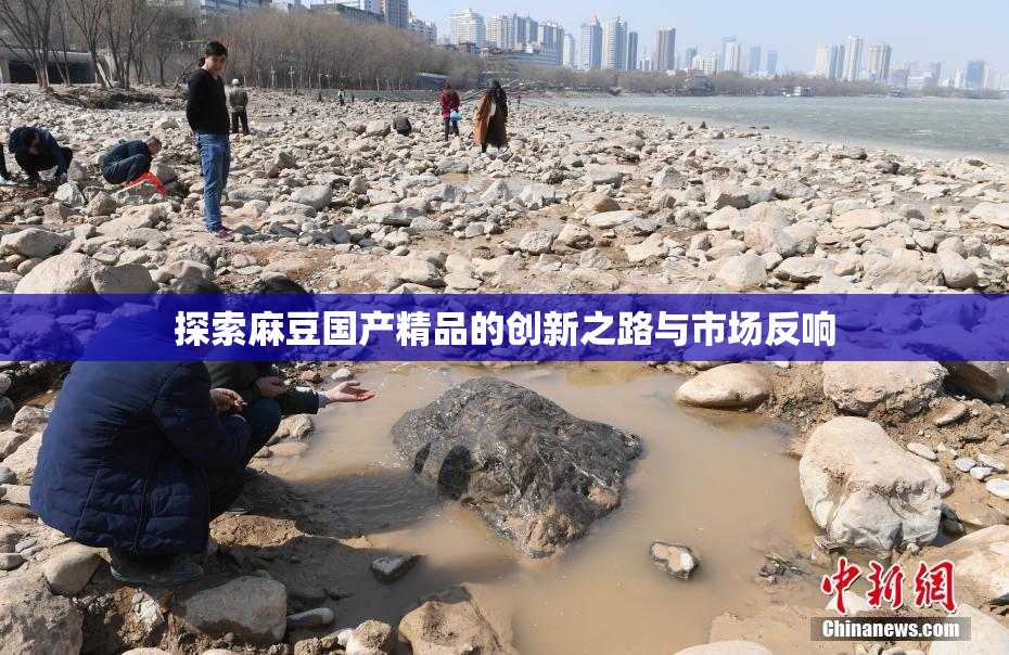 探索麻豆国产精品的创新之路与市场反响