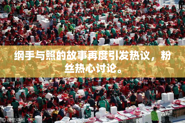 纲手与照的故事再度引发热议，粉丝热心讨论。