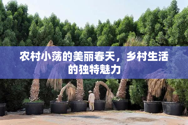 农村小荡的美丽春天，乡村生活的独特魅力