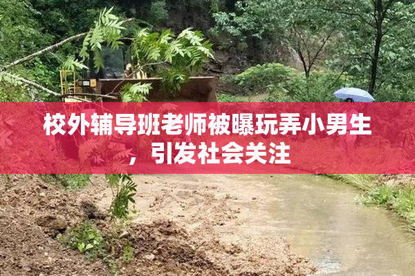 校外辅导班老师被曝玩弄小男生，引发社会关注