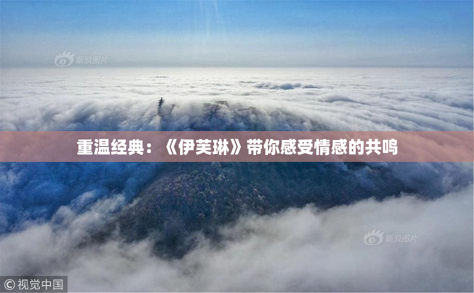 重温经典：《伊芙琳》带你感受情感的共鸣