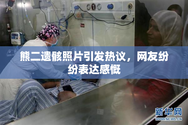 熊二遗骸照片引发热议，网友纷纷表达感慨