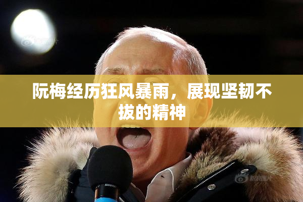 阮梅经历狂风暴雨，展现坚韧不拔的精神