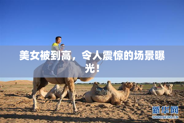 美女被到高，令人震惊的场景曝光！