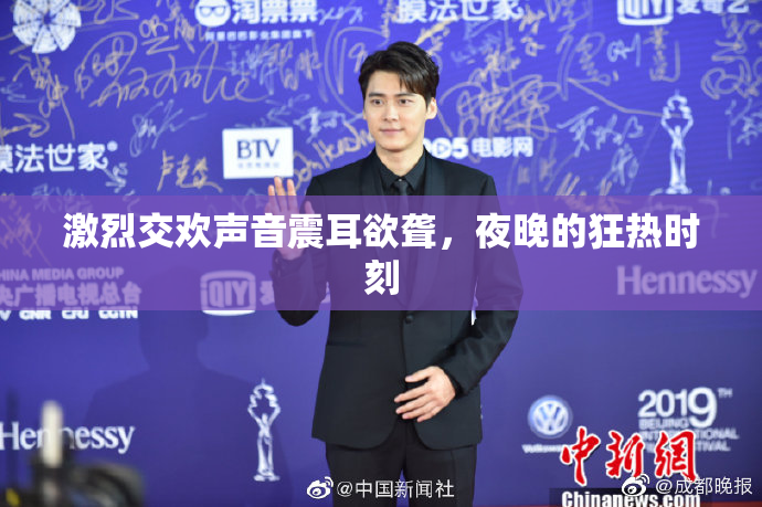 激烈交欢声音震耳欲聋，夜晚的狂热时刻