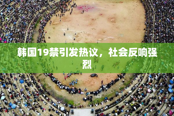 韩国19禁引发热议，社会反响强烈