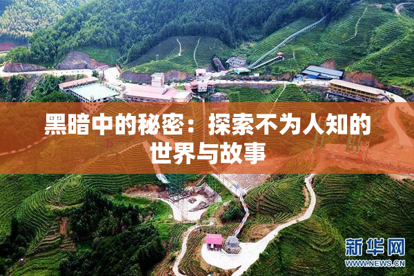 黑暗中的秘密：探索不为人知的世界与故事