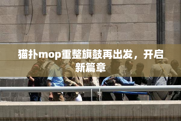猫扑mop重整旗鼓再出发，开启新篇章