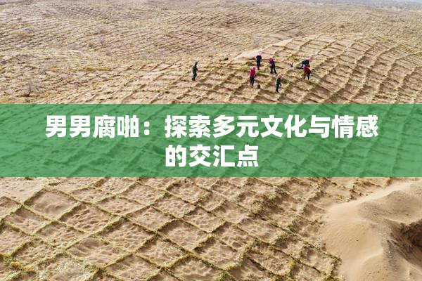 男男腐啪：探索多元文化与情感的交汇点