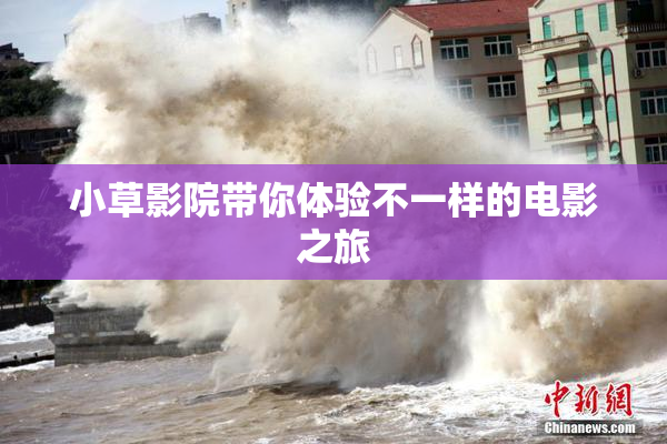 小草影院带你体验不一样的电影之旅