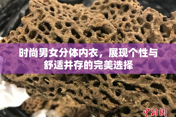 时尚男女分体内衣，展现个性与舒适并存的完美选择
