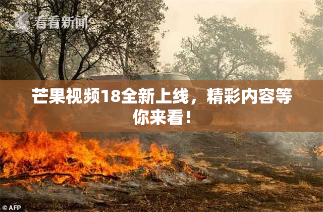 芒果视频18全新上线，精彩内容等你来看！