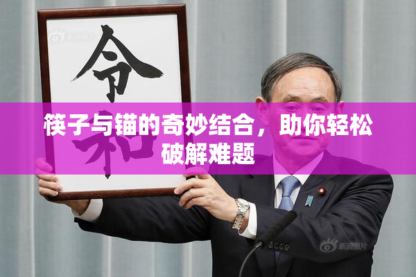 筷子与锚的奇妙结合，助你轻松破解难题