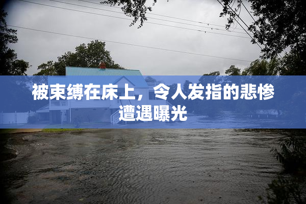 被束缚在床上，令人发指的悲惨遭遇曝光