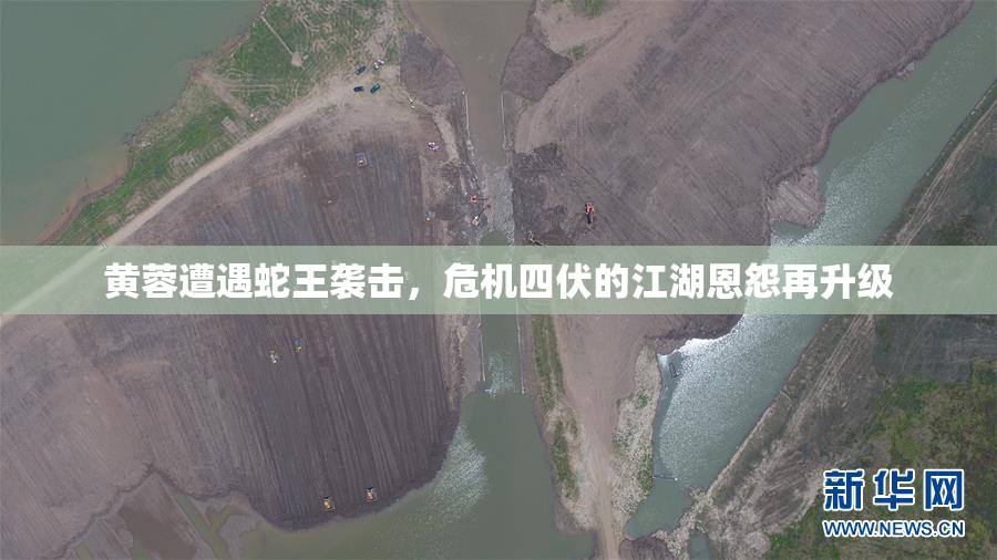 黄蓉遭遇蛇王袭击，危机四伏的江湖恩怨再升级