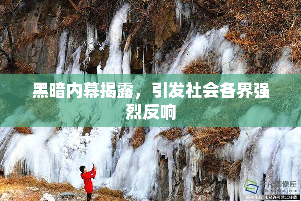 黑暗内幕揭露，引发社会各界强烈反响
