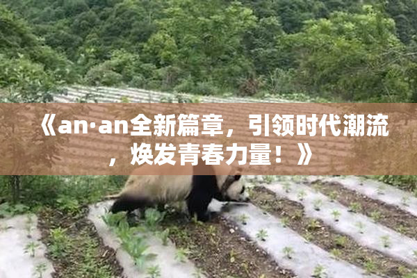 《an·an全新篇章，引领时代潮流，焕发青春力量！》