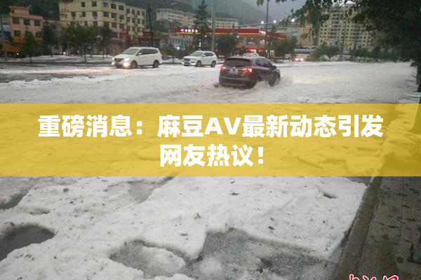 重磅消息：麻豆AV最新动态引发网友热议！
