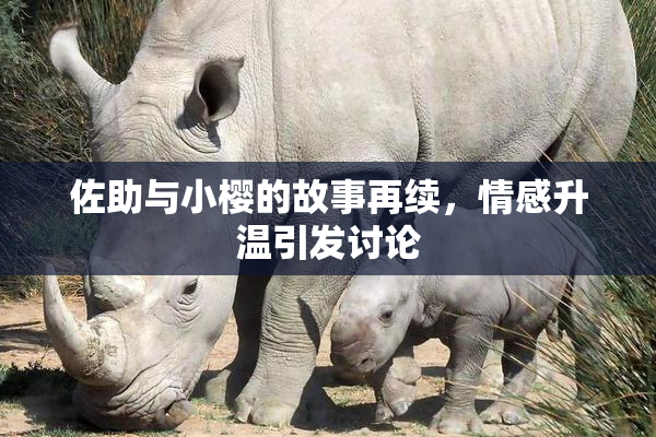 佐助与小樱的故事再续，情感升温引发讨论