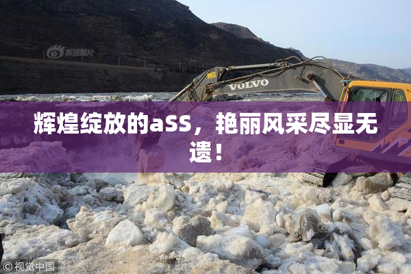 辉煌绽放的aSS，艳丽风采尽显无遗！