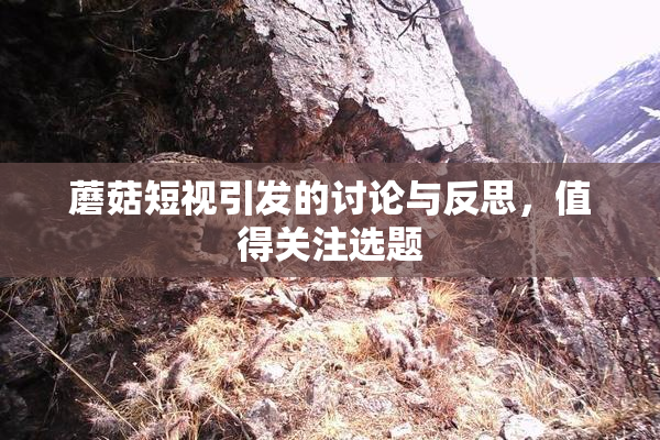 蘑菇短视引发的讨论与反思，值得关注选题
