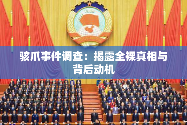骇爪事件调查：揭露全裸真相与背后动机