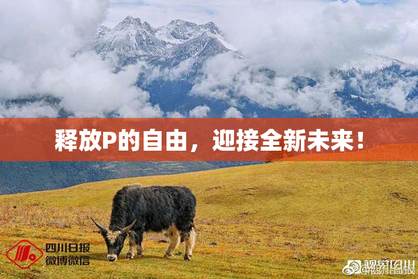 释放P的自由，迎接全新未来！