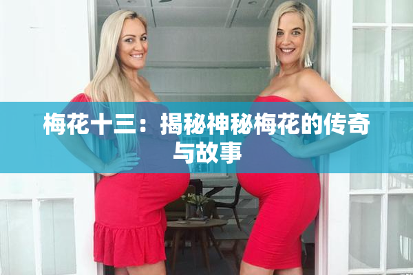 梅花十三：揭秘神秘梅花的传奇与故事