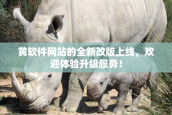 黄软件网站的全新改版上线，欢迎体验升级服务！