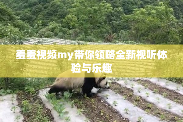 羞羞视频my带你领略全新视听体验与乐趣