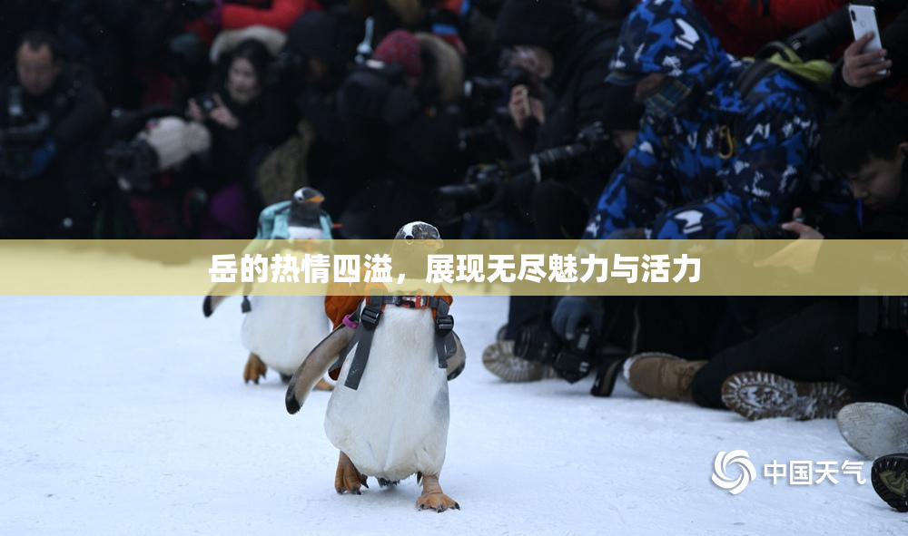 岳的热情四溢，展现无尽魅力与活力