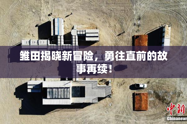 雏田揭晓新冒险，勇往直前的故事再续！