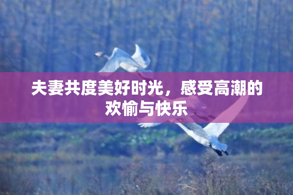 夫妻共度美好时光，感受高潮的欢愉与快乐