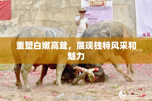 重塑白嫩高耸，展现独特风采和魅力