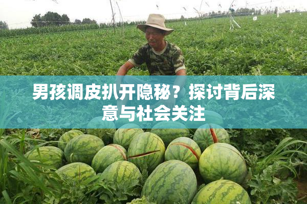 男孩调皮扒开隐秘？探讨背后深意与社会关注