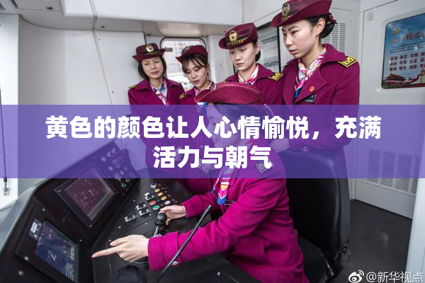 黄色的颜色让人心情愉悦，充满活力与朝气