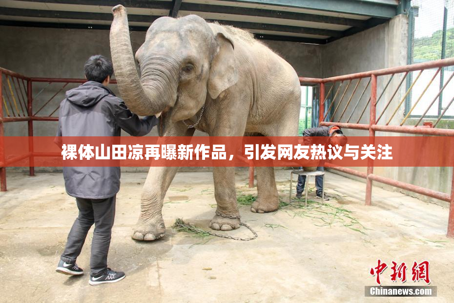 裸体山田凉再曝新作品，引发网友热议与关注
