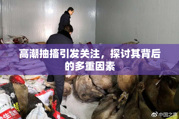 高潮抽搐引发关注，探讨其背后的多重因素