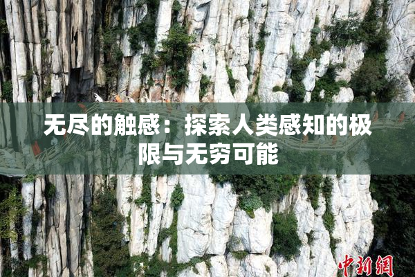 无尽的触感：探索人类感知的极限与无穷可能
